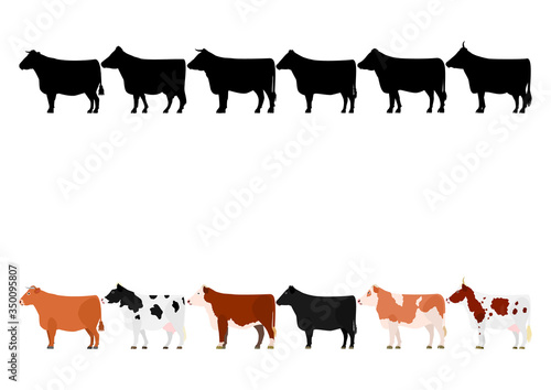 various cows in a row 