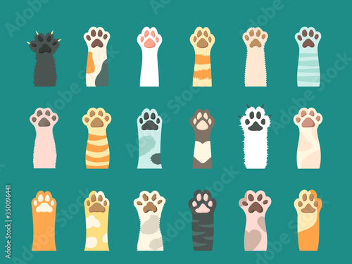 Cat paw with claw set. Fluffy colored cat s paw, black, pink, white, striped, spotty, yellow, orange with or without claws, cute and contented paws domestic kitten. Vector graphic in a flat style.