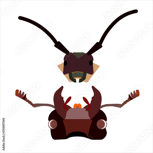The head of a barbel beetle and a deer beetle