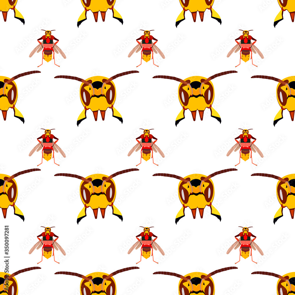 Obraz premium Pattern from the hornet's head