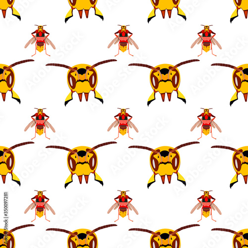 Pattern from the hornet s head