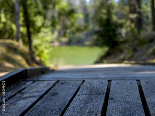 wooden boardwalk near the lake