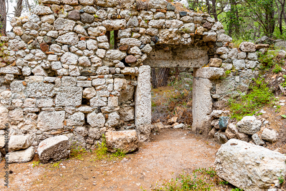 stone walls of an ancient temple in the summer in the forest