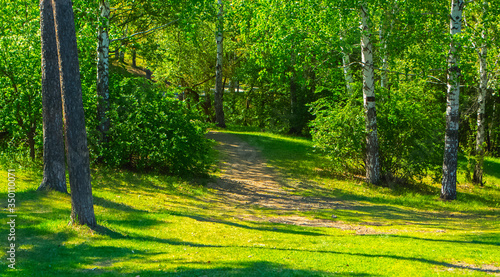 Photo of a path in a Park area