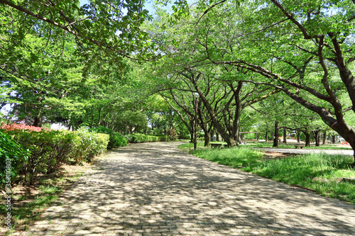 東村山中央公園