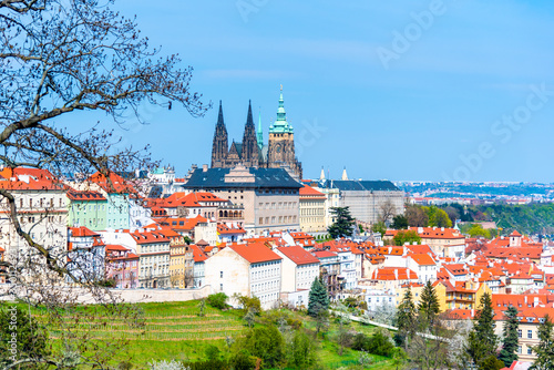 Spring in Prague. Blooming trees and lush greenery in Strahov Gardens with Prague Castle on background. Prague, Czech Republic