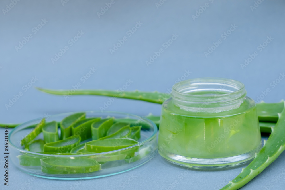 Aloe vera Gel that has both substances to cure scars And used to produce health drinks Or cosmetics that are good for the skin Aloe vera Gel that has both substances to cure scars And used to produce health drinks Or cosmetics that are good for the skin