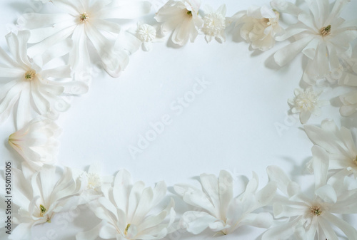 Composition with white magnolia blossoms for a wedding or greeting card with copy space
