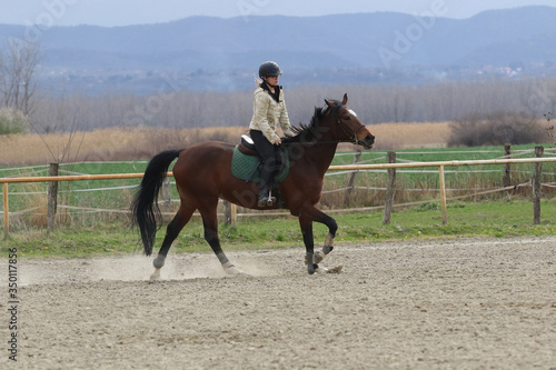 Photo The girl gallop on the horse in the riding school