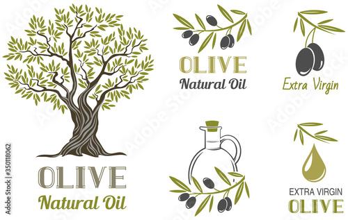 Fotótapéta Vector set of olive oil  labels. Olive tree, branches and drop