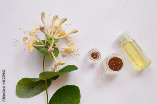 Lonicera caprifolium, honeysuckle flower essential oil (remedy, extract) jar isolated white. top view. Selective focus