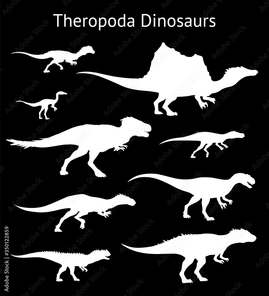 Obraz premium Sylwetki dinozaurów teropodów. Zestaw. Widok z boku. Ilustracja wektorowa monochromatyczne białe sylwetki dinozaurów na białym tle na czarnym tle. Teropody. Proporcjonalne wymiary.