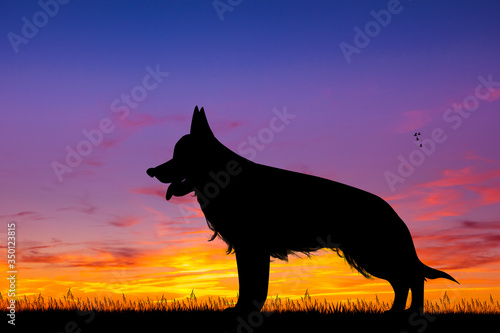 illustration of german shepherd at sunset