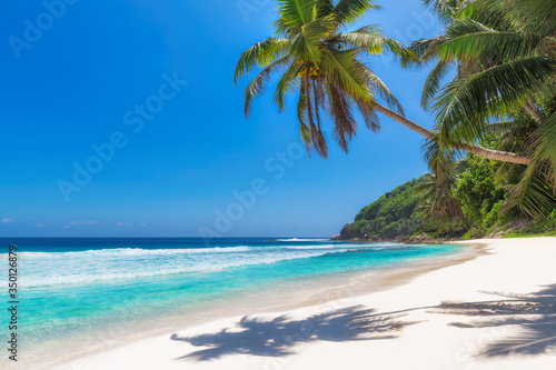 Caribbean beach with white sand and coco palms. Summer vacation and tropical beach concept