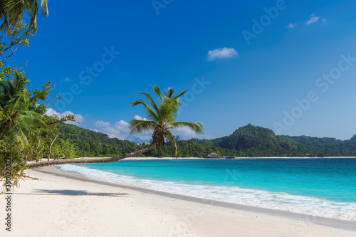 Paradise beach. Sunny beach with coco palms and turquoise sea. Summer vacation and tropical beach concept. 