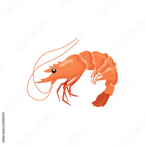 shrimp isolated on white background