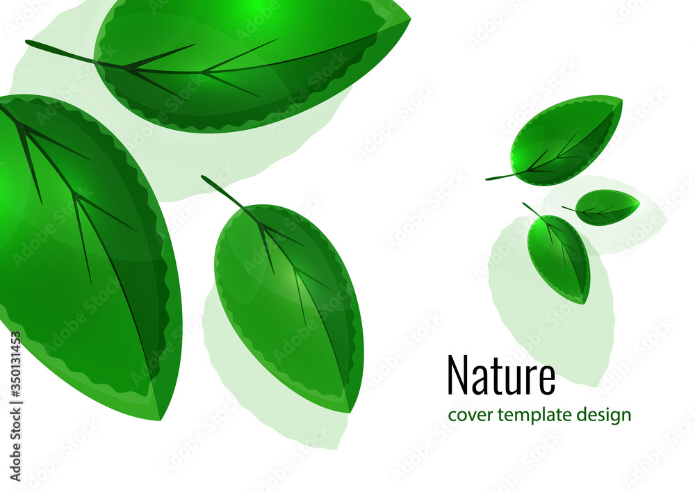 Fresh bright green leaves. Creative summer background for your design. Vector Fresh bright green leaves. Creative summer background for your design. Vector