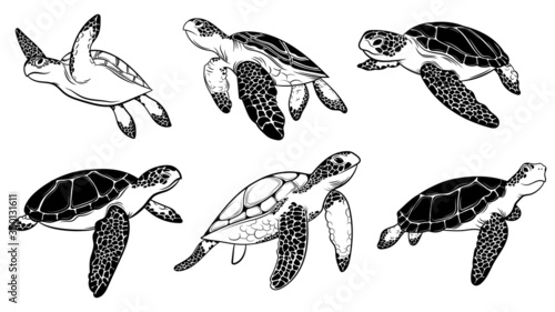 Set of sea turtles. Collection of tropical underwater inhabitants. Undersea world. Vector illustration for children. Tattoo.
