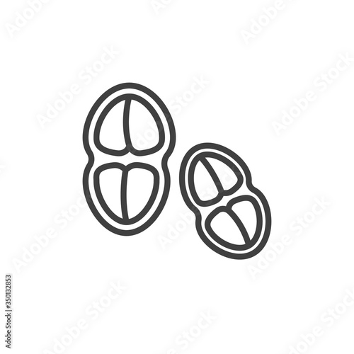 Tetracoccus bacteria cells line icon. linear style sign for mobile concept and web design. Tetracoccus dioicus outline vector icon. Symbol, logo illustration. Vector graphics