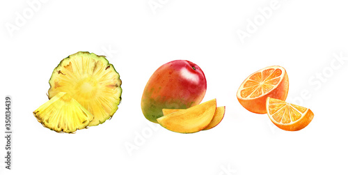 Watercolor orange, mango, ananas fruits. Realistic botanical watercolor floral set. Whole and half slice citrus. Hand drawn exotic food design element collection