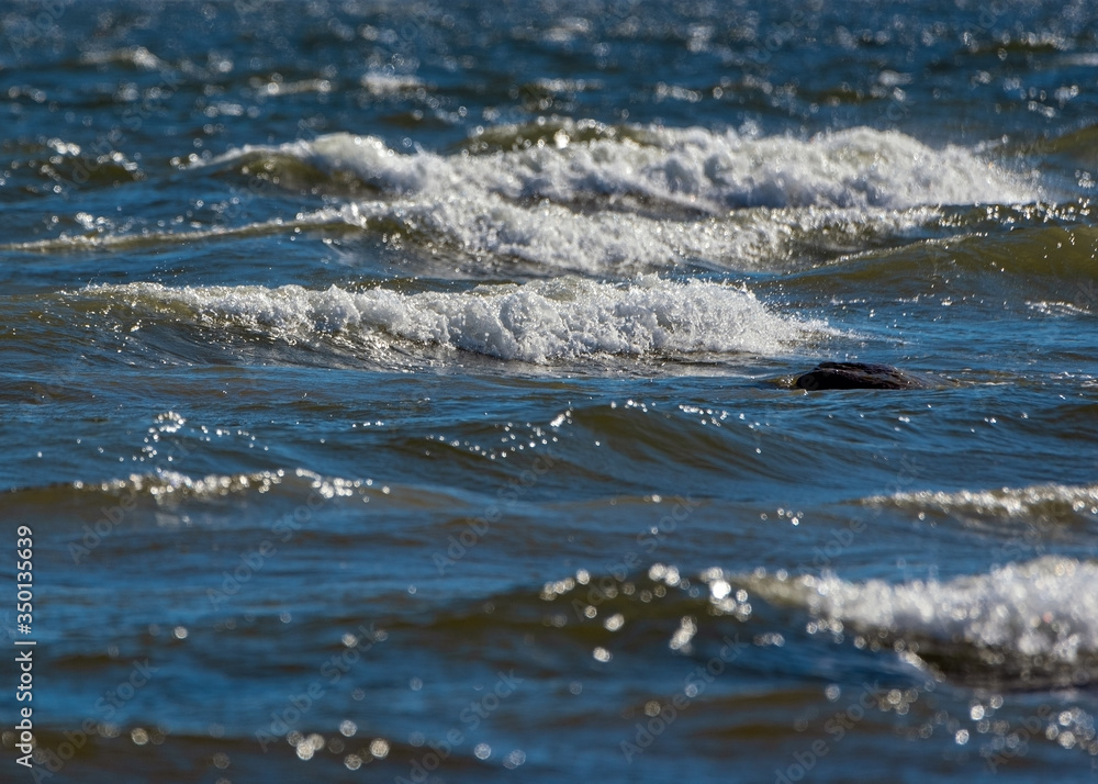 Obraz premium Beautiful wavy sea.