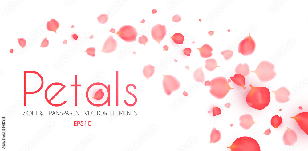 Flying petals abstract background. Cosmetics, wedding and fashion background. Soft romagic blooming wind. Flying petals abstract background. Cosmetics, wedding and fashion background. Soft romagic blooming wind.