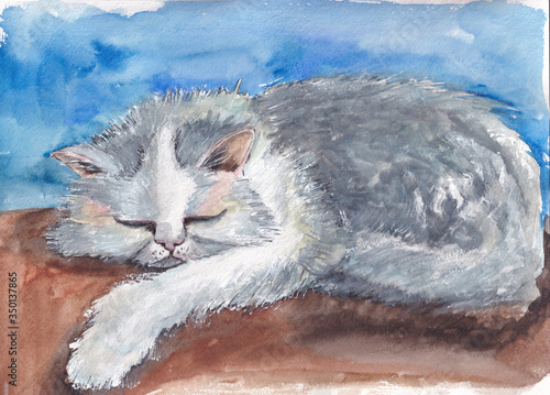Gray cat with curly hair sleeps at home on the couch. Hand drawn watercolor illustration. Image for greeting card, calendar, cover and book © Ольга Дубровина