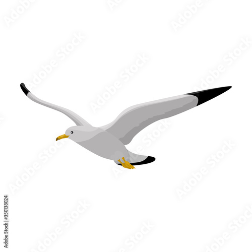 Bird gull vector icon.Cartoon vector icon isolated on white background bird gull.