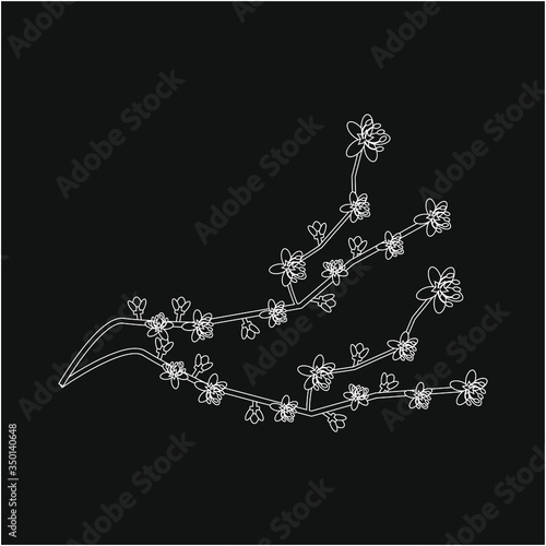 almond branch with flowers illustration for web and mobile design.