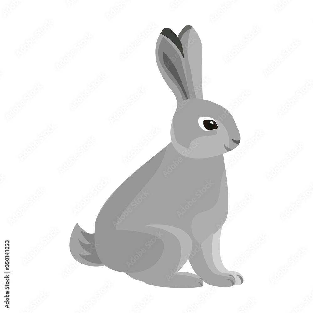 Rabbit vector icon.Cartoon vector icon isolated on white background rabbit. Rabbit vector icon.Cartoon vector icon isolated on white background rabbit.