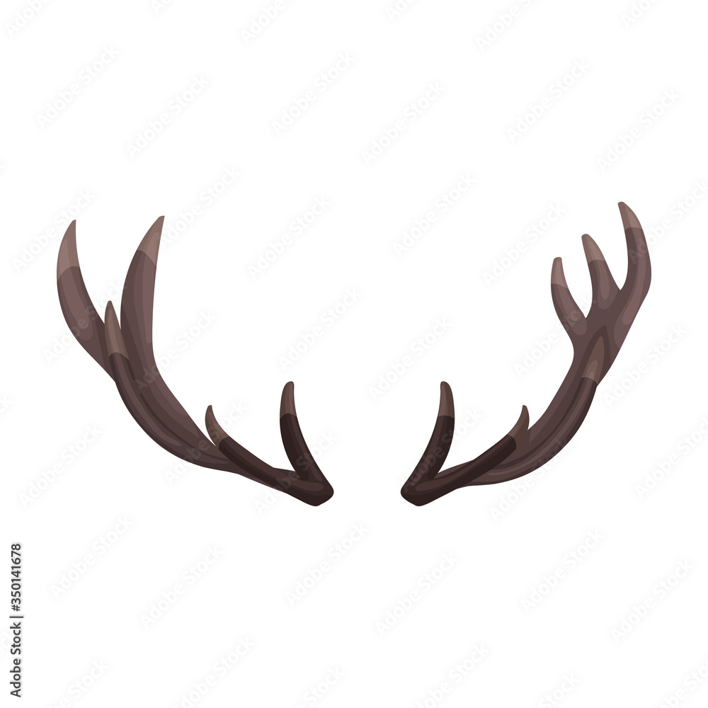 Elk horn vector icon.Cartoon vector icon isolated on white background elk horn. Elk horn vector icon.Cartoon vector icon isolated on white background elk horn.