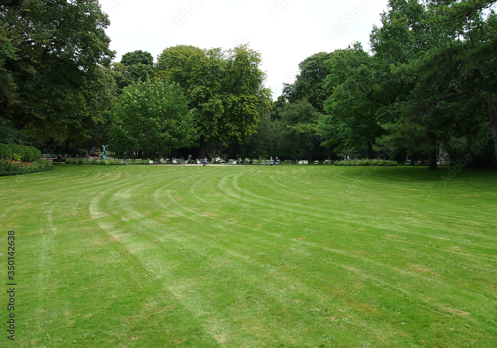 Park with green grass