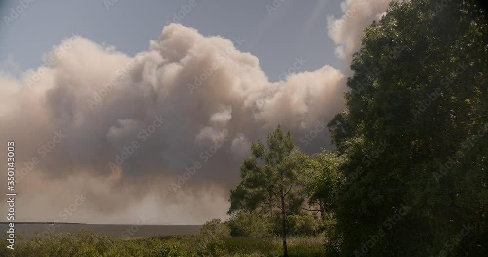 Five Mile Swamp Fire in Santa Rosa County from May 2020. Five Mile Swamp Fire in Santa Rosa County from May 2020.