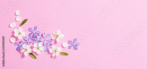 spring  flowers on pink background