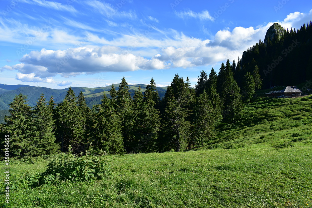 mountain landscape with green meadows and trees in a beautiful spring sunny day mountain landscape with green meadows and trees in a beautiful spring sunny day