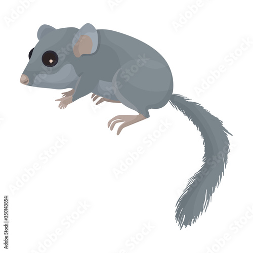 Tableau sur toile Dormouse vector icon