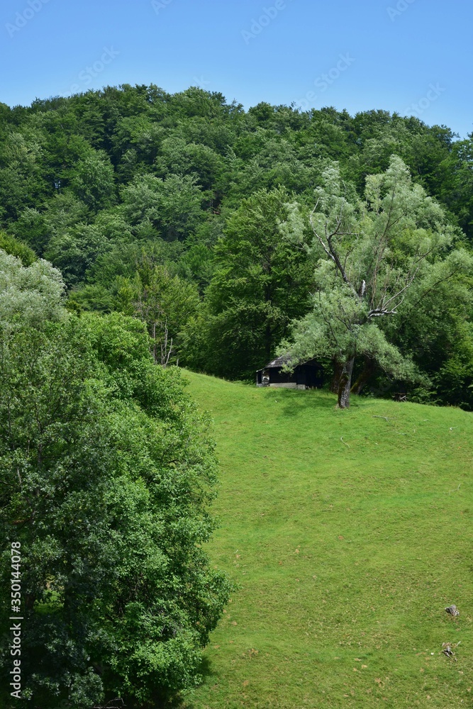 mountain landscape with green meadows and trees in a beautiful spring sunny day mountain landscape with green meadows and trees in a beautiful spring sunny day