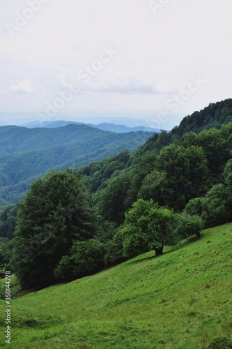 Fototapeta Naklejka Na Ścianę i Meble -  mountain landscape with green meadows and trees in a beautiful spring sunny day