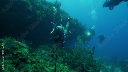 Wallpaper Mural Slow motion of tourists exploring coral reef while scuba diving, people swimming in blue sea - Montego Bay, Jamaica Torontodigital.ca