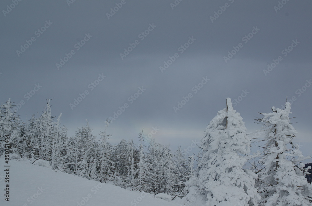 Obraz premium 雪山