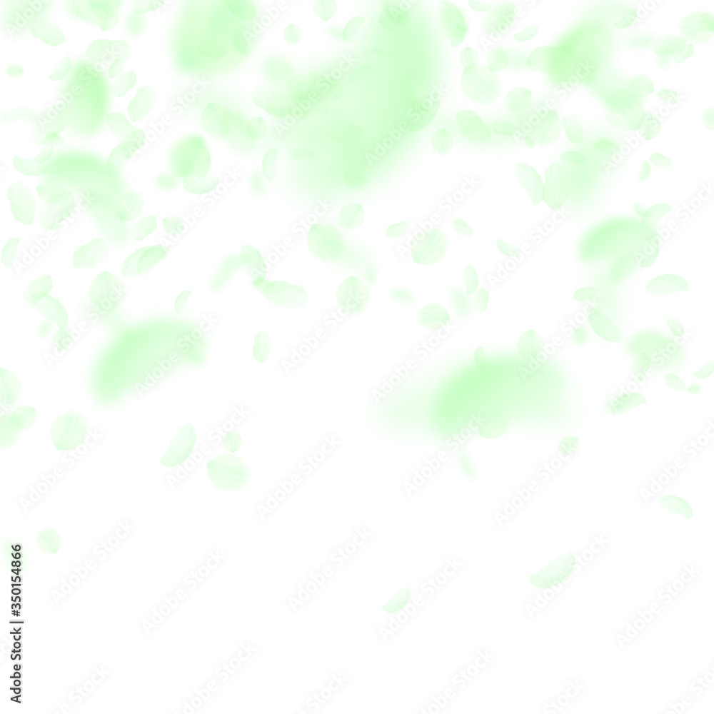 Green flower petals falling down. Vibrant romantic Green flower petals falling down. Vibrant romantic