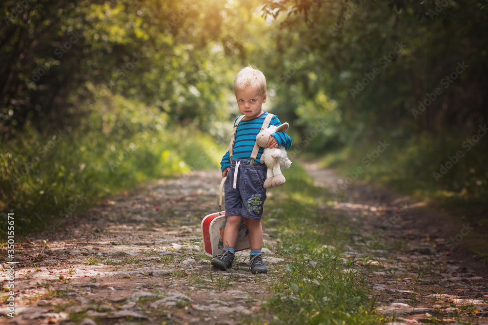Little boy with plush sheep walking on the path Little boy with plush sheep walking on the path