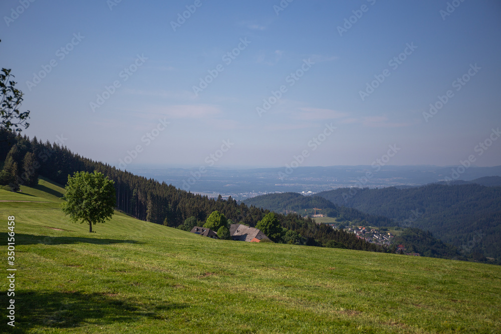 Fototapeta premium The View Of Schauinsland From Geiersnest, St. Ulrich, Freiburg