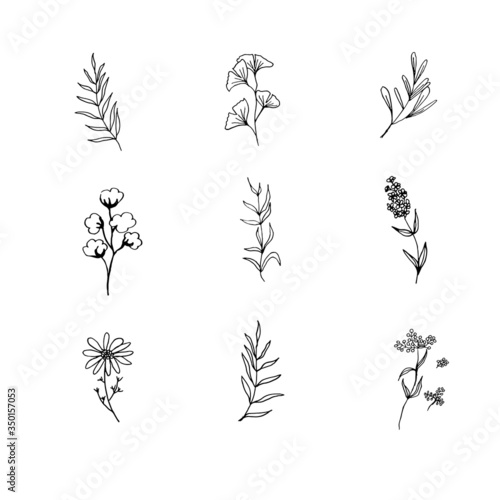 Floral logo element. Hand drawn flower and leaves. Simple plant logo