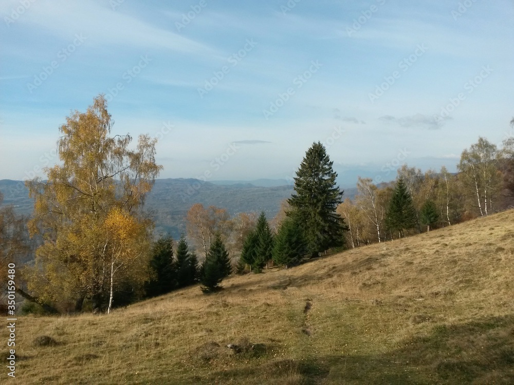 fall season at the mountain with colorfully trees, meadows and hills fall season at the mountain with colorfully trees, meadows and hills