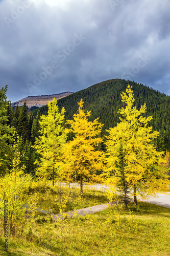 The Oktober in the Rocky Mountains