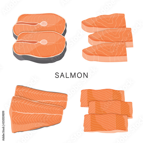 Set of Salmon, raw fish slice and meat steaks isolated on a white background. Cartoon Vector illustration