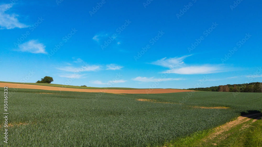 Amazing nature - beautiful farmland on a sunny day - aerial view Amazing nature - beautiful farmland on a sunny day - aerial view