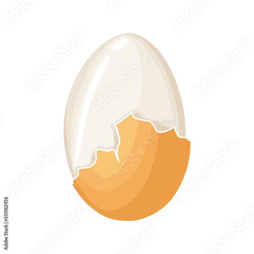 Boiled egg. Cracked eggshell and proteins isolated on white background. Egg vector healthy food