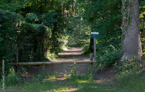 Landscapes and lanes at Maatschappij van Weldadigheid Frederiksoord Drenthe Netherlands. Panorama photo